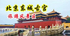 警花的骚穴被大鸡吧操到高潮中国北京-东城古宫旅游风景区